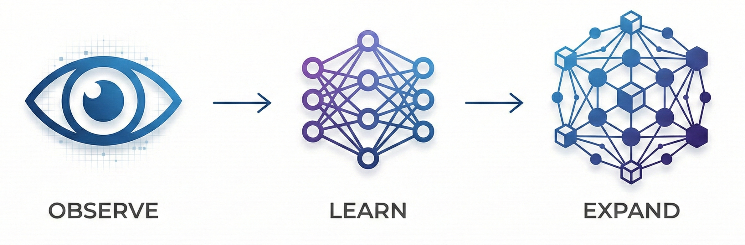 Observe, Learn, Expand - Tavana Platform